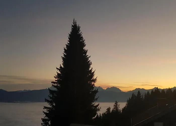 Zirbengeist Gerlitzen *